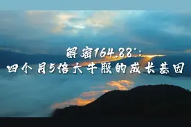 解密164.88°：四个月5倍大牛股的成长基因——走进锦波生物视频封面