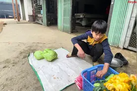 农村小孩小孟靠自己种菜养活自己，今天还买砖头水泥，为自己盖房