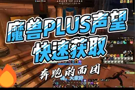 魔兽世界PLUS 探索服声望快速获取途径视频封面