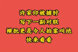 许家印被捕时写下一副对联，横批更是令人拍案叫绝，快来看看视频封面