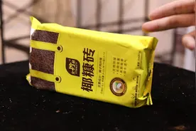 养花自己拌土用什么材料轻便？园艺师教你，用椰糠砖视频封面