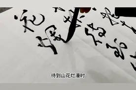 待到山花烂漫时，她在丛中笑。——《卜算子咏梅》视频封面