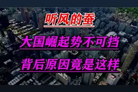 听风的蚕，大国崛起势不可挡！背后原因竟是这样！