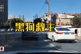 黑狗救主  #民间故事 #听民间故事品百味人生 #原创视频视频封面