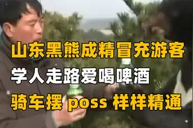 山东动物园奇葩人形黑熊，模仿游客还爱喝酒，游客：很可爱视频封面