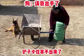 狗：这个家没有我迟早得散啊视频封面