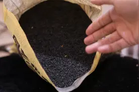 在家种有机蔬菜用什么样的肥料？园艺师教你，用稻壳炭视频封面