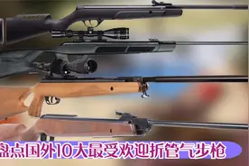 盘点国外10大便宜且最受爱好者欢迎的折叠管气步枪，上部分。