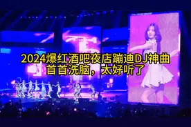 2024爆红酒吧夜店蹦迪DJ神曲     首首洗脑，太好听了