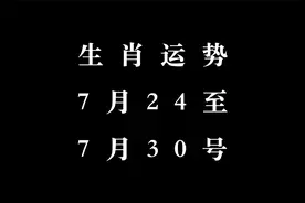 12生肖一周运势视频封面