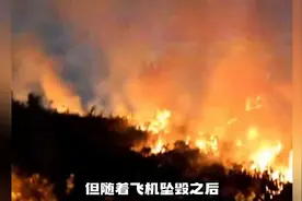 被感染的天空变异飞机被寄生成为伪机