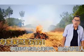 专家说对了？秸秆焚烧：看似方便，却隐藏了巨大的生态代价视频封面