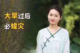 “大旱过后必蝗灾”，历史上有多次先例，仅仅是巧合吗？视频封面