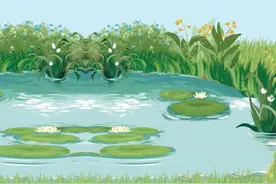 Zoom和Zip的分开，也代表我们小学的正式结束   #英语课本