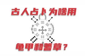 古人占卜为啥用龟甲和蓍草？里面有啥深意？