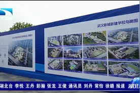 武汉新城：民生项目上新 产城融合提速视频封面