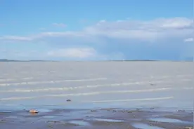 好美！内蒙古一湖泊现“牛奶湖”奇观