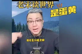 国际局势：乌俄冲突 -中东局势 -宋飞讲解！视频封面