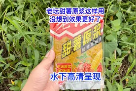 老坛甜薯原浆这样用，没想到效果更好了