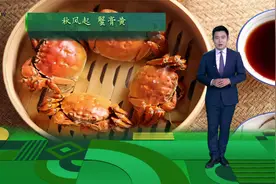 秋天是螃蟹上市的季节视频封面