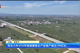 西安力争2026年底猕猴桃全产业链产值达100亿元视频封面