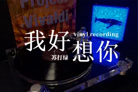 我好想你 好想你 却欺骗自己视频封面