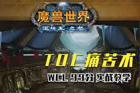 最新普通TOC，术士WCL99分输出手法详细教程！