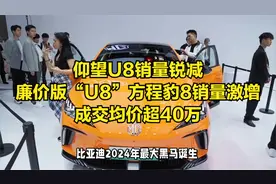 仰望U8销量锐减，廉价版“U8”方程豹8销量激增，成交均价超40万视频封面