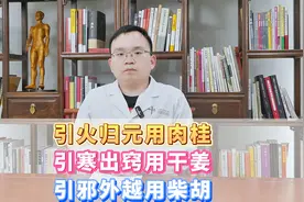 引火归元用肉桂，引寒出窍用干姜，引邪外越用柴胡