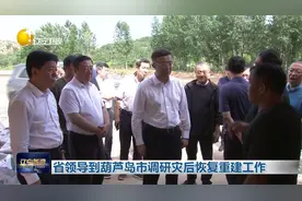 省领导到葫芦岛市调研灾后恢复重建工作视频封面