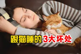 劝告，千万别跟猫咪同睡！