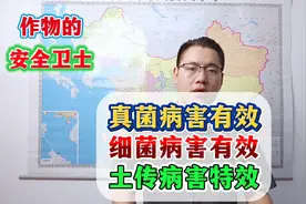 农业种植用什么杀菌剂可以同时消灭真菌、细菌、土传等病害！视频封面