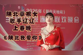 陕西榆林草根女歌手辽辽上春晚了，请听她的代表作《陕北我爱你》视频封面