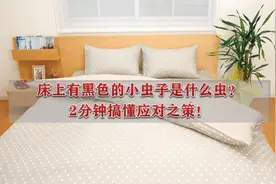 床上有黑色的小虫子是什么虫？2分钟搞懂应对之策！