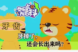 13 人体知识探索：牙掉了，还会长出来吗？视频封面