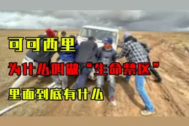 可可西里为什么叫做“生命禁区”？国家禁止进入，里面到底有什么