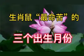 十鼠八苦，生肖鼠“最命苦”的三个出生月份，看看就知道了视频封面