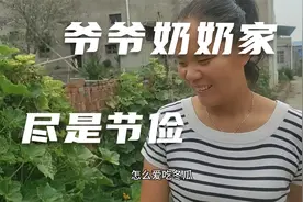 在村里爷爷奶奶家串门，房前屋后一眼望去尽是节俭视频封面