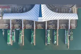 海南新能源车出岛难，轮渡票已售罄！当地称每晚会放专班票视频封面