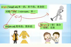 中考必备单词—single 单一的；单个的；单身的