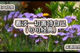 美文欣赏《看淡一切，善待自己》句句经典