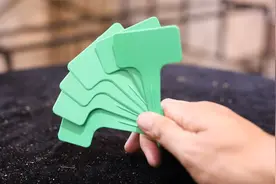 家庭养花如何便捷记录植物？园艺师教你，用园艺标签，方便清晰