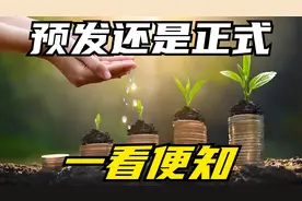 别再蒙在鼓里！退休养老金两大类型解析，教你轻松辨别预发与正式视频封面