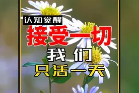 放下就是接受发生的一切，心之镜，三种思维方式，只活当下