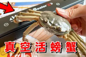 拼多多36元黑科技真空机，用来真空活螃蟹会怎样？视频封面