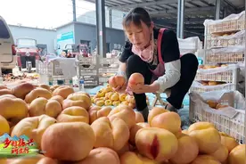 蒙阴县：优化多元服务 助力蜜桃销售视频封面