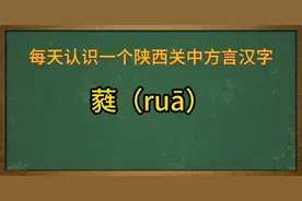 陕西关中方言汉字：蕤（ruā）
