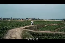 冷酷无情，最容易翻脸不认人的生肖视频封面