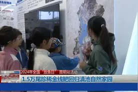 2024年全国“放鱼日” 1.5万尾珍稀金线鲃回归滇池自然家园视频封面