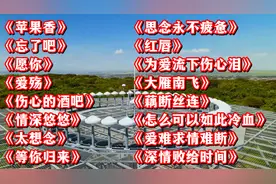 2025热播歌曲<忘了吧><愿你><爱殇><伤心的酒吧><情深悠悠>